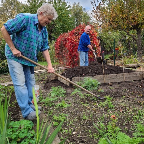 Tagesseminare des LNG 2025