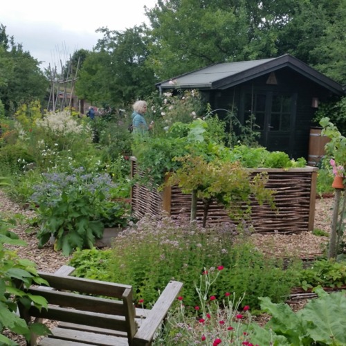 Wolfsburger Kleing&auml;rtner sind Klimasch&uuml;tzer