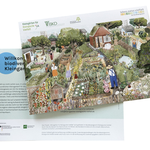 Aus dem BKD: Erkl&auml;rfilme und Wimmelbild sind da! Neues Bildungsmaterial f&uuml;r biologische Vielfalt im Kleingarten